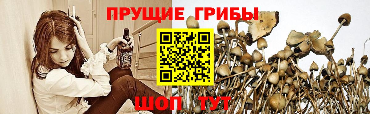 Псилоцибиновые грибы мухоморы  Вход с VPN  Ялуторовск 